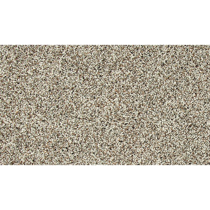 Soft Tempo II 911 Celtic Mist 52 oz. Polyester Everstrand Soft Appeal Texture Indoor Carpet Flooring 12' Feet Wide (9 sf / yd)