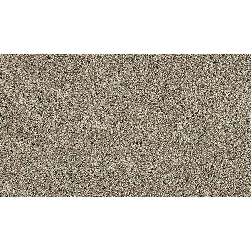 Soft Tempo II 952 London Fog 52 oz. Polyester Everstrand Soft Appeal Texture Indoor Carpet Flooring 12' Feet Wide (9 sf / yd)