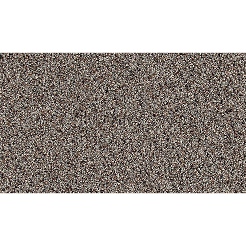 Soft Tempo II 965 Retreat 52 oz. Polyester Everstrand Soft Appeal Texture Indoor Carpet Flooring 12' Feet Wide (9 sf / yd)