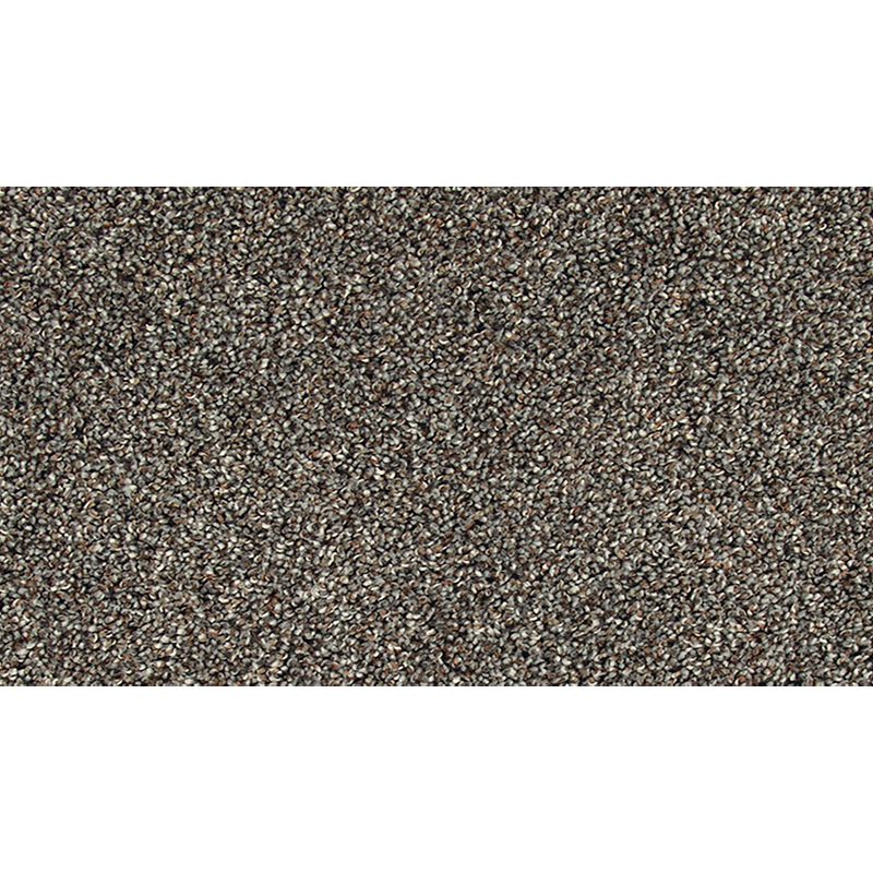 Soft Tempo II 977 Gravel Path 52 oz. Polyester Everstrand Soft Appeal Texture Indoor Carpet Flooring 12' Feet Wide (9 sf / yd)