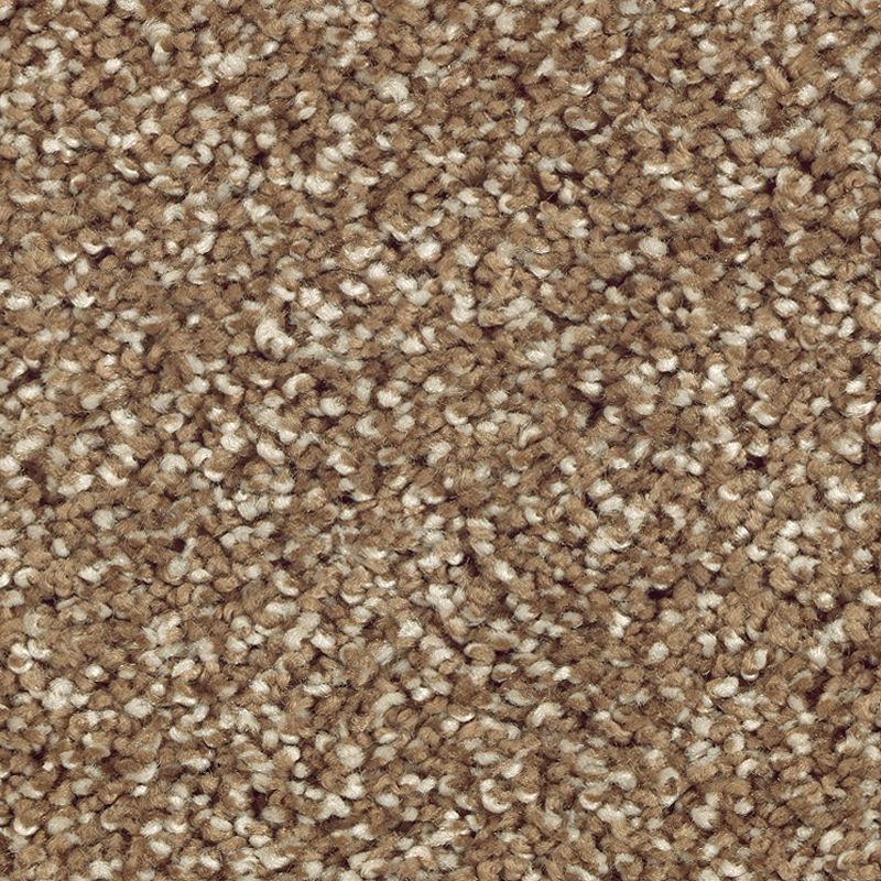 Stonington Manor II 516 Rich Earth 57 oz. Triexta Smartstrand Silk Texture Indoor Carpet Flooring 12' Feet Wide (9 sf / yd)