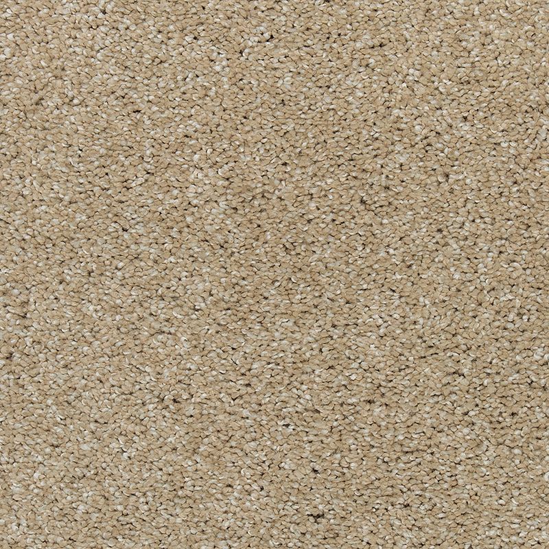 Stonington Manor II 517 Sand Dollar 57 oz. Triexta Smartstrand Silk Texture Indoor Carpet Flooring 12' Feet Wide (9 sf / yd)
