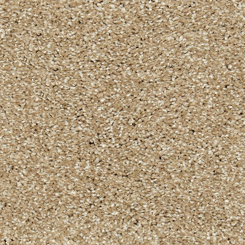Stonington Manor II 519 Mushroom Cap 57 oz. Triexta Smartstrand Silk Texture Indoor Carpet Flooring 12' Feet Wide (9 sf / yd)