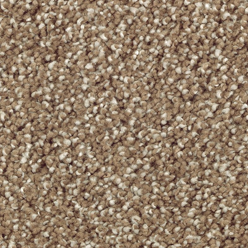 Stonington Manor II 520 Pine Cone 57 oz. Triexta Smartstrand Silk Texture Indoor Carpet Flooring 12' Feet Wide (9 sf / yd)