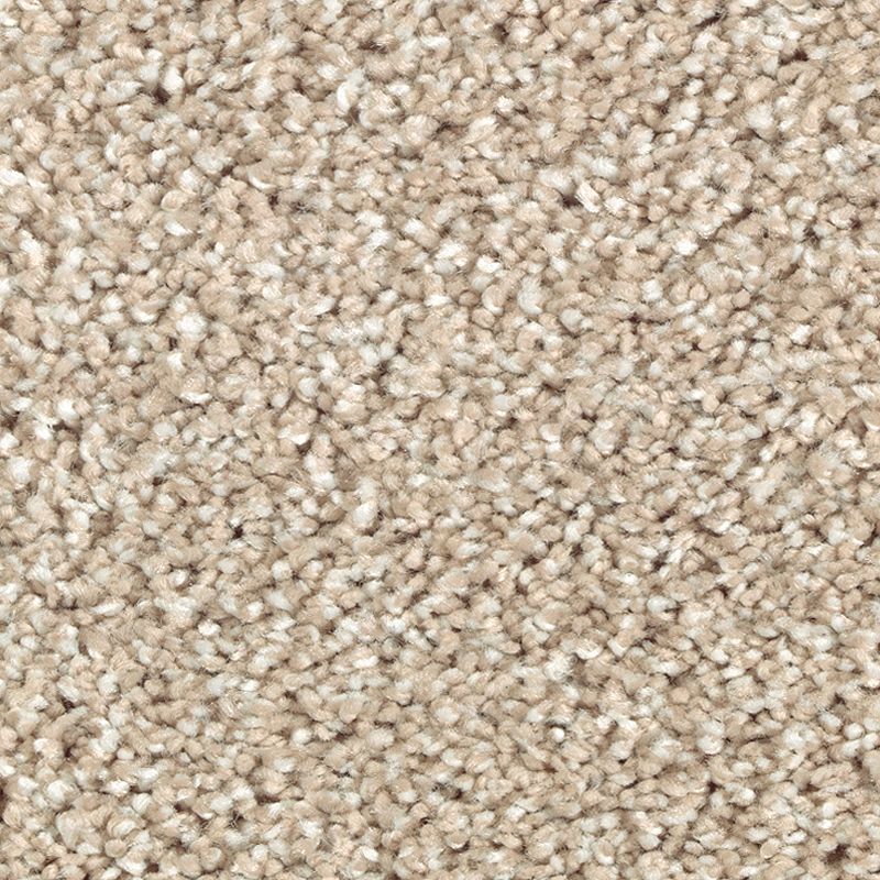 Stonington Manor II 521 Morning Mist 57 oz. Triexta Smartstrand Silk Texture Indoor Carpet Flooring 12' Feet Wide (9 sf / yd)