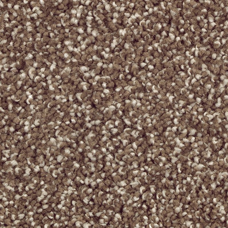 Stonington Manor II 524 Dried Peat 57 oz. Triexta Smartstrand Silk Texture Indoor Carpet Flooring 12' Feet Wide (9 sf / yd)