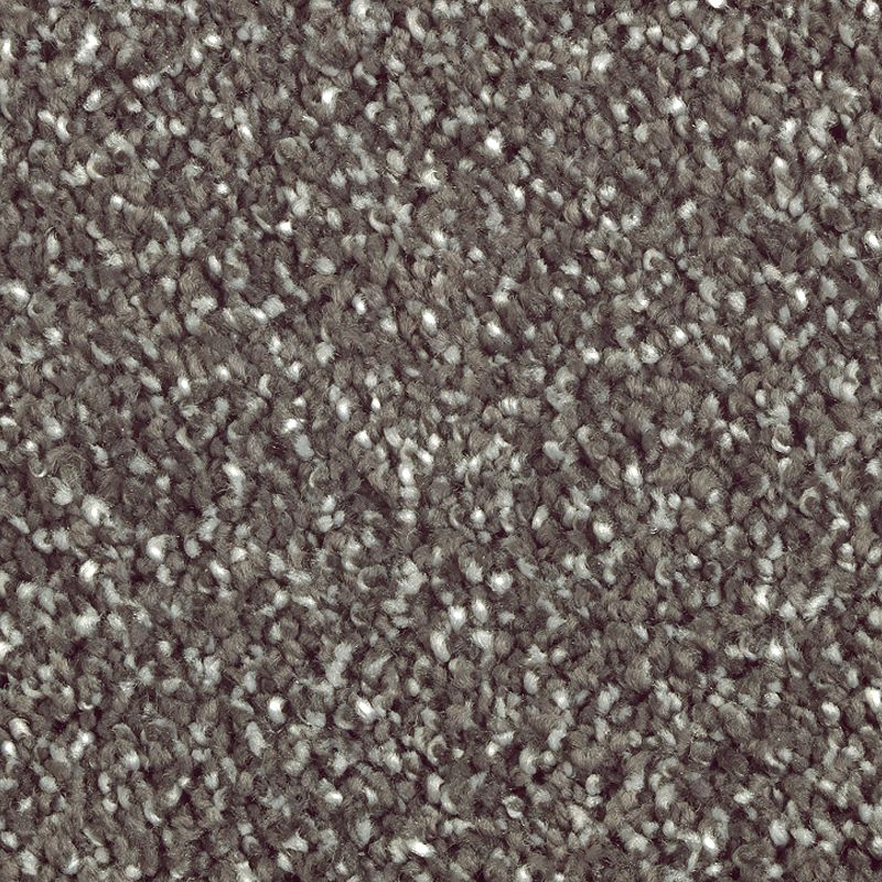 Stonington Manor II 528 Deep Slate 57 oz. Triexta Smartstrand Silk Texture Indoor Carpet Flooring 12' Feet Wide (9 sf / yd)