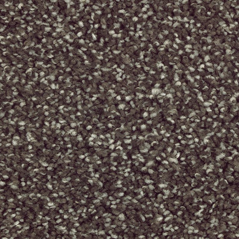 Stonington Manor II 532 Wrought Iron 57 oz. Triexta Smartstrand Silk Texture Indoor Carpet Flooring 12' Feet Wide (9 sf / yd)