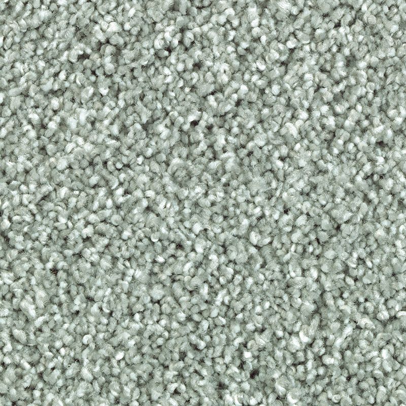 Stonington Manor II 538 Seascape 57 oz. Triexta Smartstrand Silk Texture Indoor Carpet Flooring 12' Feet Wide (9 sf / yd)