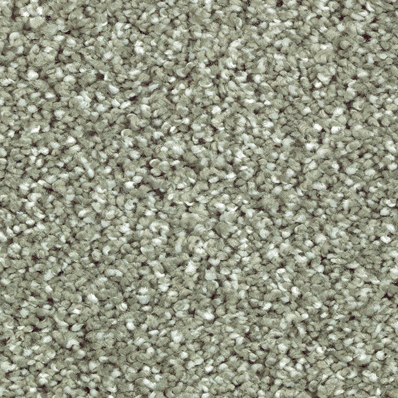 Stonington Manor II 539 Garden Club 57 oz. Triexta Smartstrand Silk Texture Indoor Carpet Flooring 12' Feet Wide (9 sf / yd)