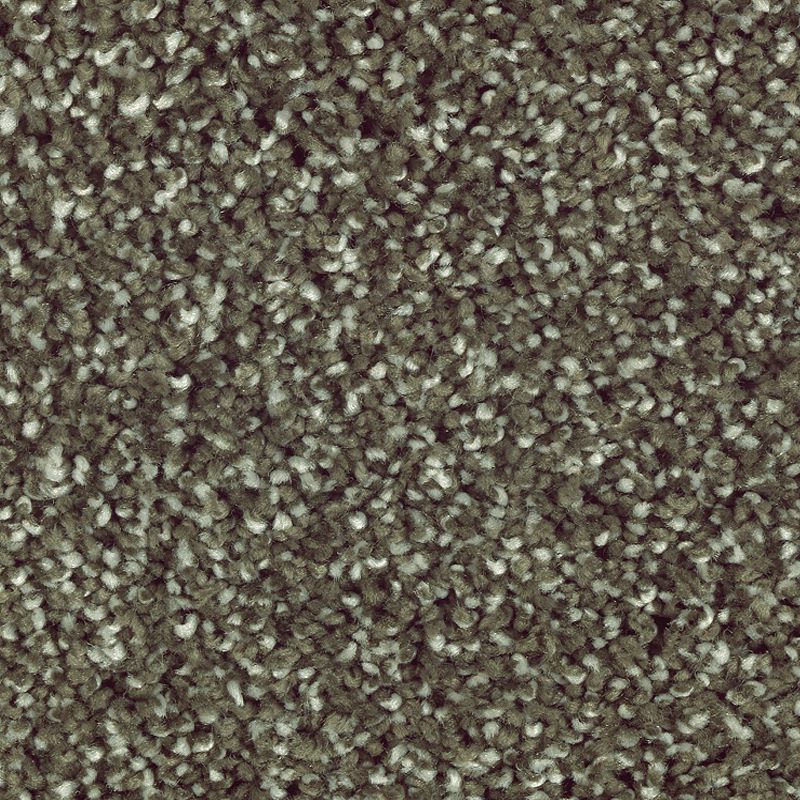 Stonington Manor II 540 Pine Needle 57 oz. Triexta Smartstrand Silk Texture Indoor Carpet Flooring 12' Feet Wide (9 sf / yd)