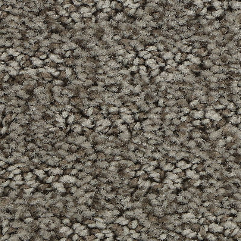 Stylish Tones 829 Mist 25 oz. Polyester Everstrand Pattern Indoor Carpet Flooring 12' Feet Wide (9 sf / yd)