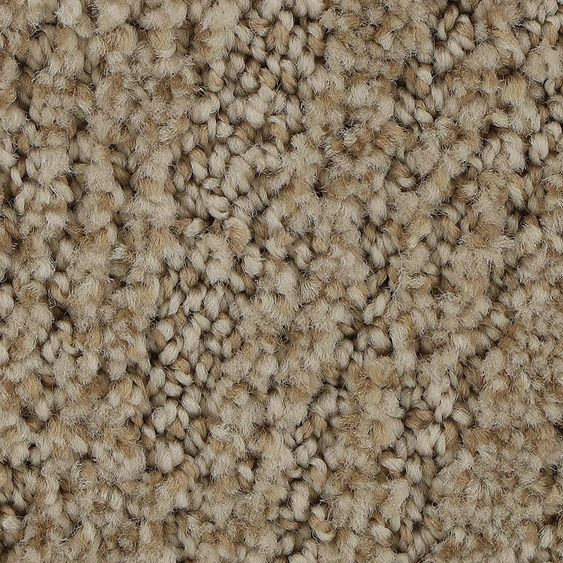 Stylish Trend 768 Chiffon 38 oz. Polyester Everstrand Pattern Indoor Carpet Flooring 12' Feet Wide (9 sf / yd)