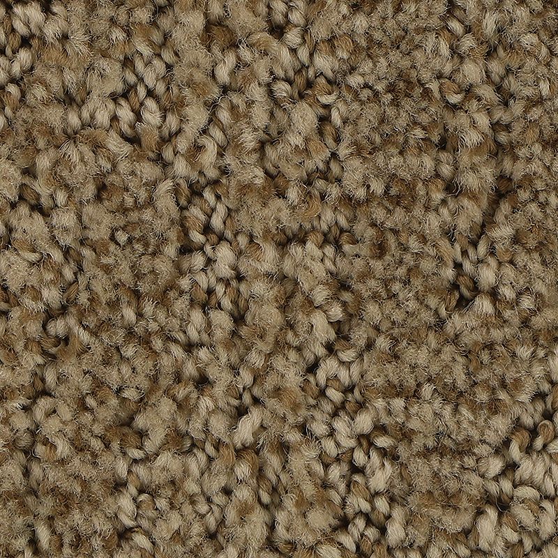 Stylish Trend 851 Homemade 38 oz. Polyester Everstrand Pattern Indoor Carpet Flooring 12' Feet Wide (9 sf / yd)