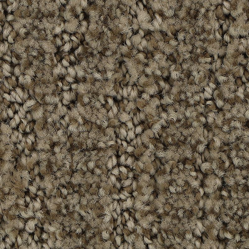 Stylish Trend 863 Hickory 38 oz. Polyester Everstrand Pattern Indoor Carpet Flooring 12' Feet Wide (9 sf / yd)