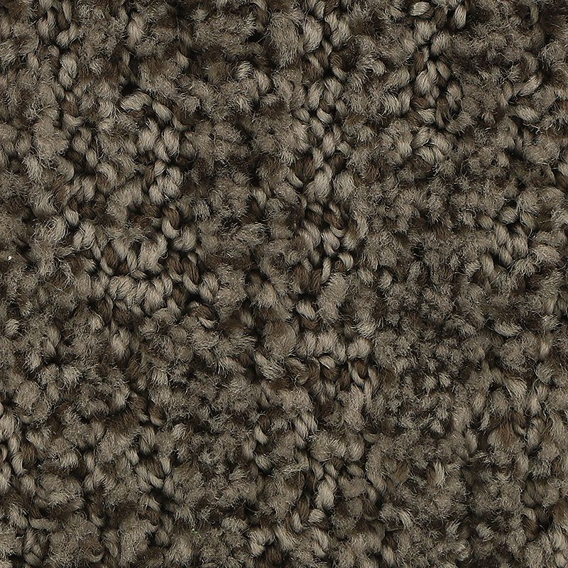 Stylish Trend 869 Rock Garden 38 oz. Polyester Everstrand Pattern Indoor Carpet Flooring 12' Feet Wide (9 sf / yd)