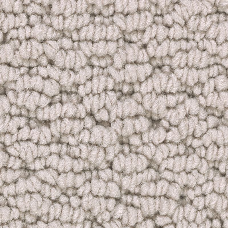 Tailored Essence 502 Essence 32 oz. Triexta Smartstrand Loop Indoor Carpet Flooring 12' Feet Wide (9 sf / yd)