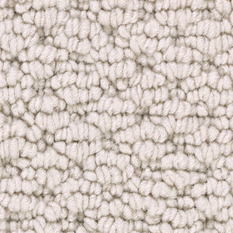 Tailored Essence 503 Divine 32 oz. Triexta Smartstrand Loop Indoor Carpet Flooring 12' Feet Wide (9 sf / yd)
