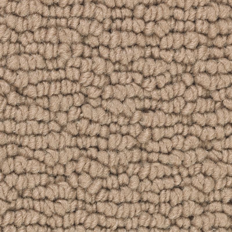 Tailored Essence 520 Fresco 32 oz. Triexta Smartstrand Loop Indoor Carpet Flooring 12' Feet Wide (9 sf / yd)