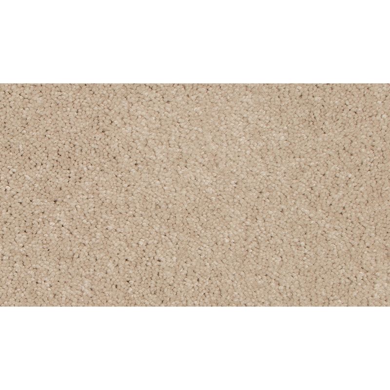 Tender Moment II 739 Champagne Beige 40 oz. Triexta Smartstrand Texture Indoor Carpet Flooring 12' Feet Wide (9 sf / yd)