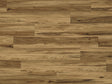 Topaz_REWLVTGC20COV_Coronado_01.jpg