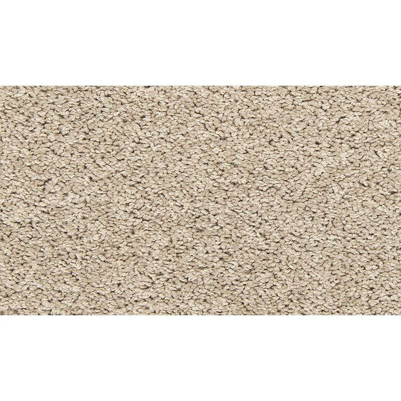 Vitalize I 749 Stony Glade 29 oz. Polyester Everstrand Texture Indoor Carpet Flooring 12' Feet Wide (9 sf / yd)