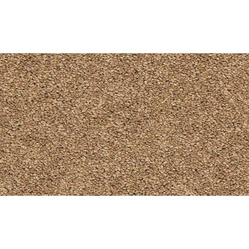 Vitalize I 857 Dock 29 oz. Polyester Everstrand Texture Indoor Carpet Flooring 12' Feet Wide (9 sf / yd)