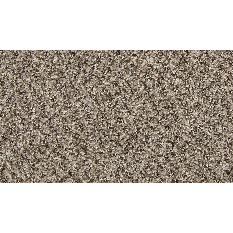 Vitalize I 879 Shimmer Ash 29 oz. Polyester Everstrand Texture Indoor Carpet Flooring 12' Feet Wide (9 sf / yd)