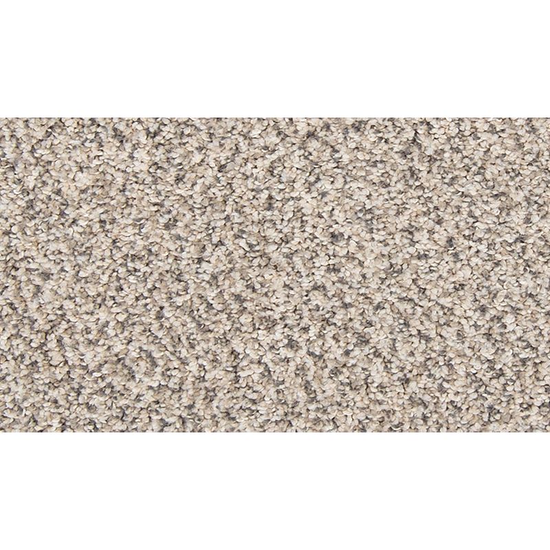 Vitalize I 938 Silver Dollar 29 oz. Polyester Everstrand Texture Indoor Carpet Flooring 12' Feet Wide (9 sf / yd)