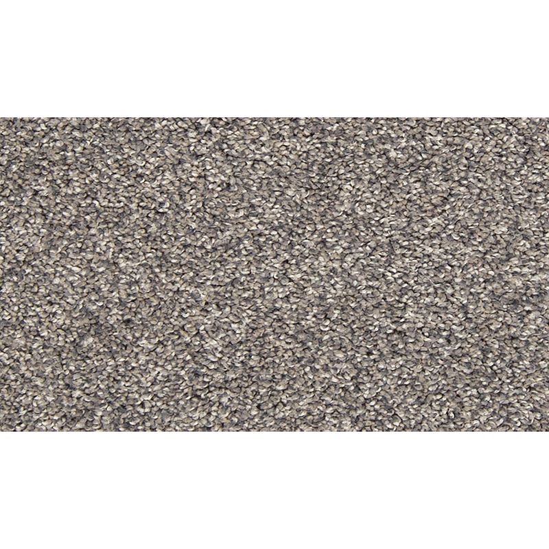Vitalize I 969 Steelbeam 29 oz. Polyester Everstrand Texture Indoor Carpet Flooring 12' Feet Wide (9 sf / yd)