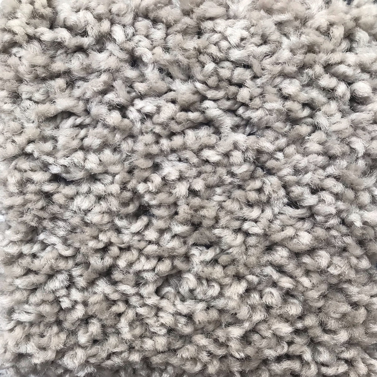 Winning Hand III 829 Teak 25 oz. Polyester Everstrand Texture Indoor Carpet Flooring 12' Feet Wide (9 sf / yd)