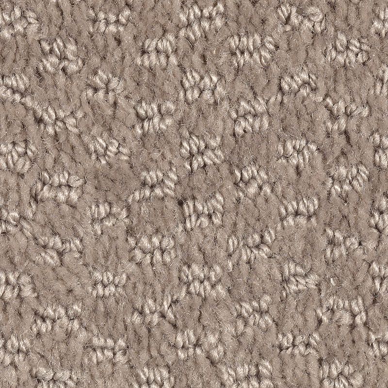 Dynamo - 859 Taupe Treasure