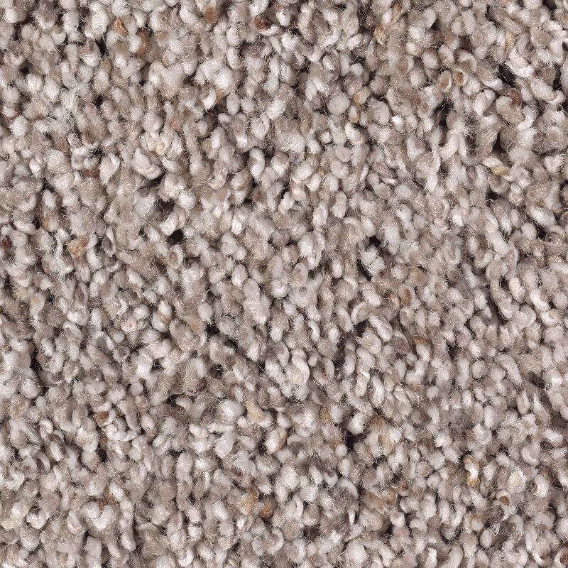 Soft Sensations II - 849 Studio Taupe