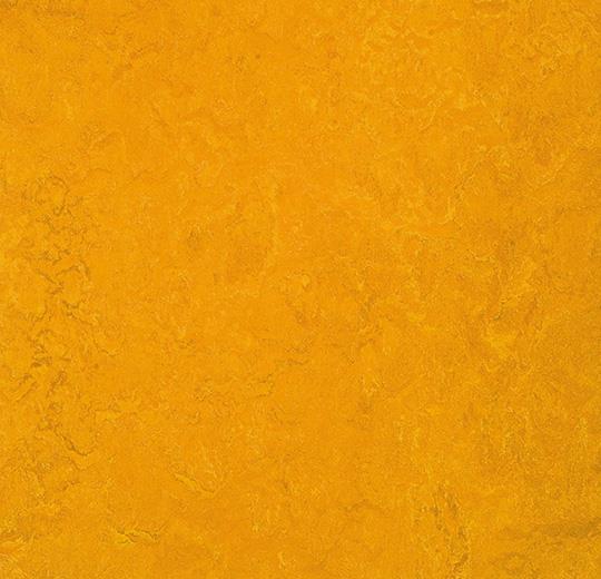 Marmoleum Fresco - 3125 Golden Sunset