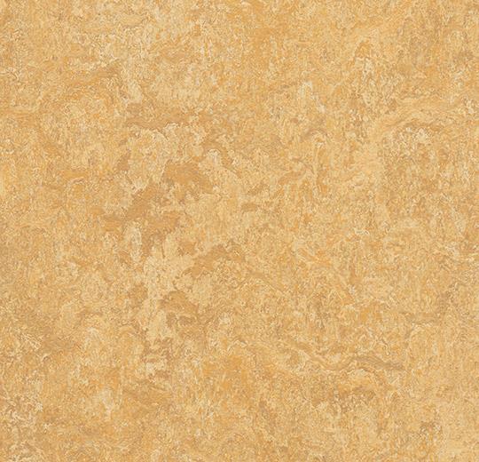 Marmoleum Real - 3173 Van Gogh