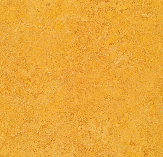 Marmoleum Real - 3225 Dandelion