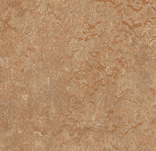 Marmoleum Real - 3233 Shitake