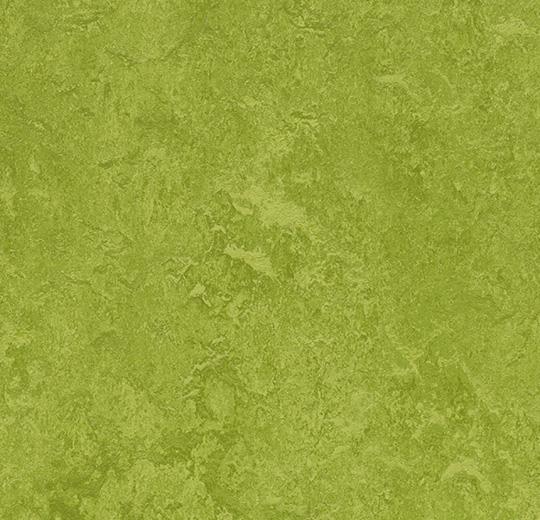 Marmoleum Fresco - 3247 Green