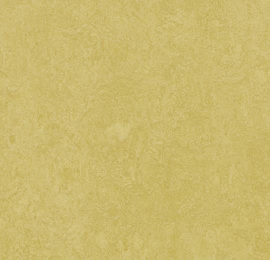 Marmoleum Fresco - 3259 Mustard