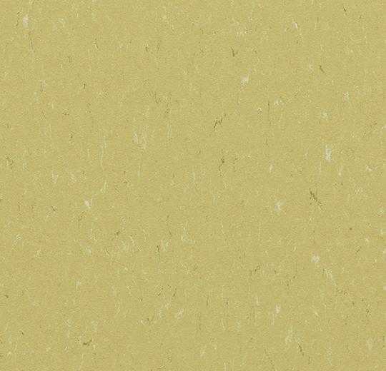 Marmoleum Piano - 3634 Meadow