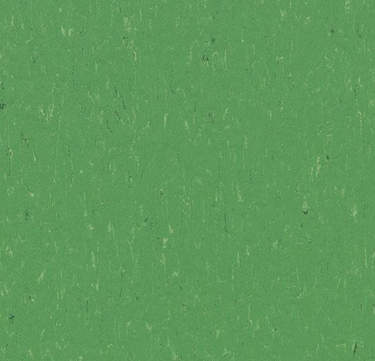 Marmoleum Piano - 3647 Nettle Green