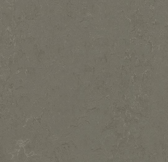 Marmoleum Concrete - 3723 Nebula