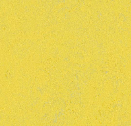 Marmoleum Concrete - 3741 Yellow Glow