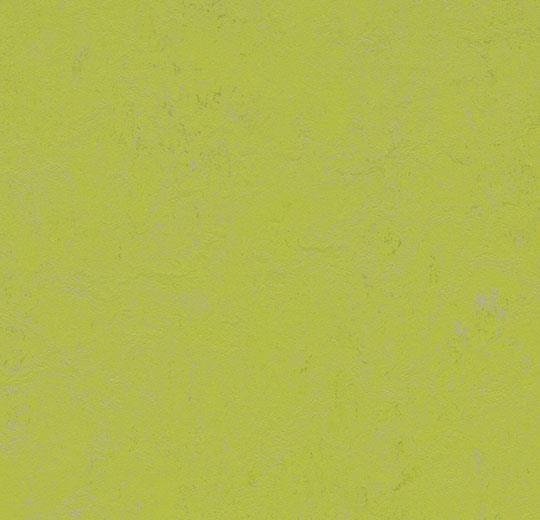 Marmoleum Concrete - 3742 Green Glow