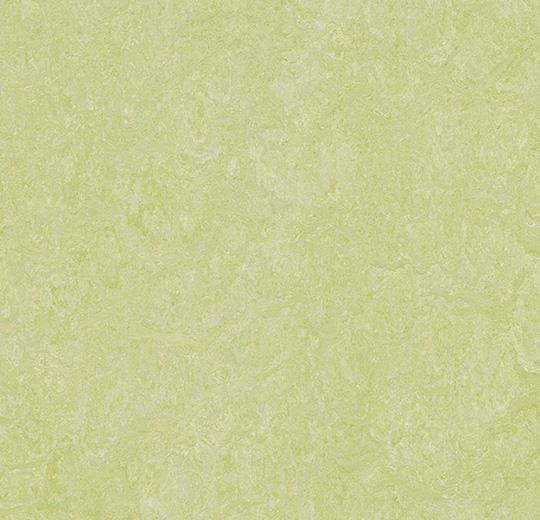 Marmoleum Real - 3881 Green Wellness