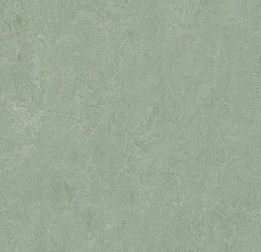 Marmoleum Fresco - 3891 Sage