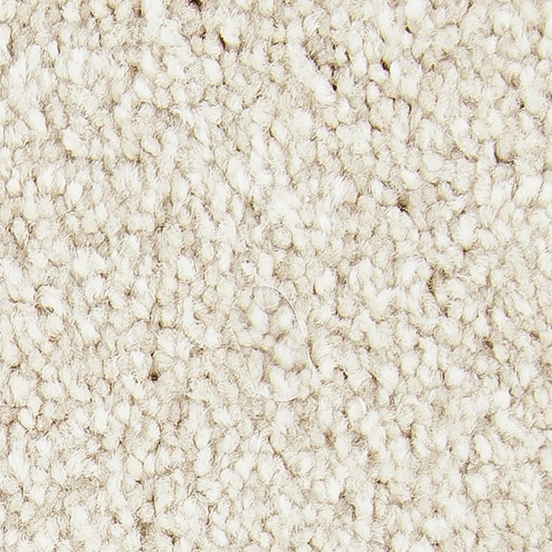 Exceptional Choice - 526 Balsam Beige