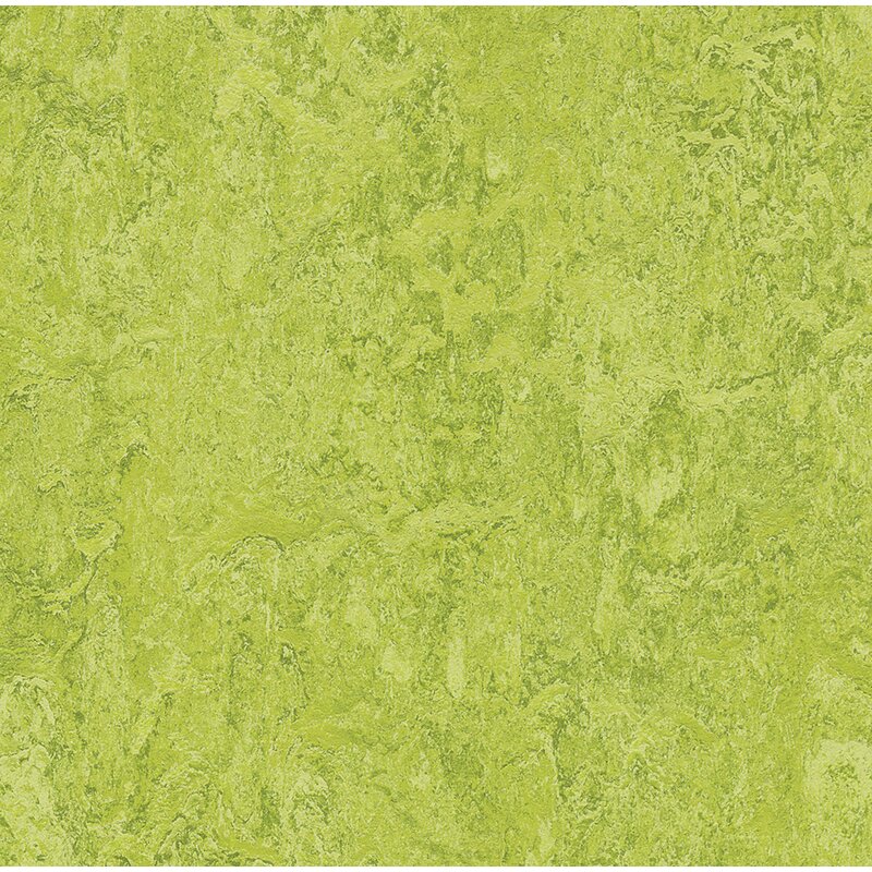 Marmoleum Click Cinch Loc - 933224-333224 Chartreuse