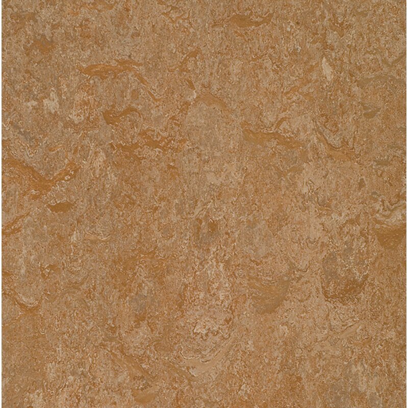 Marmoleum Click Cinch Loc - 933233-333233 Shitake