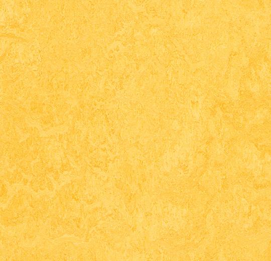 Marmoleum Modular - T3251 Lemon Zest